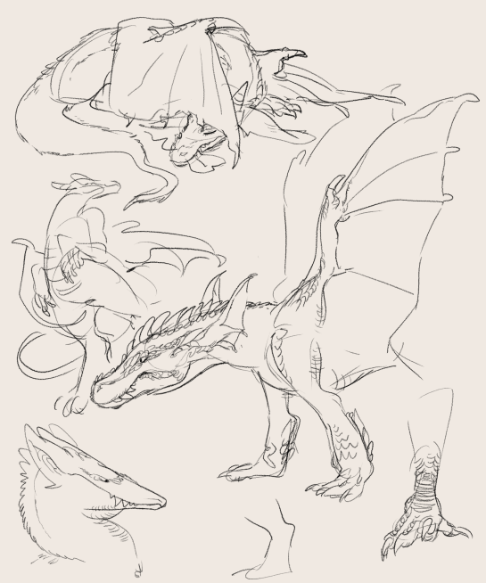 doodles of more random dragons